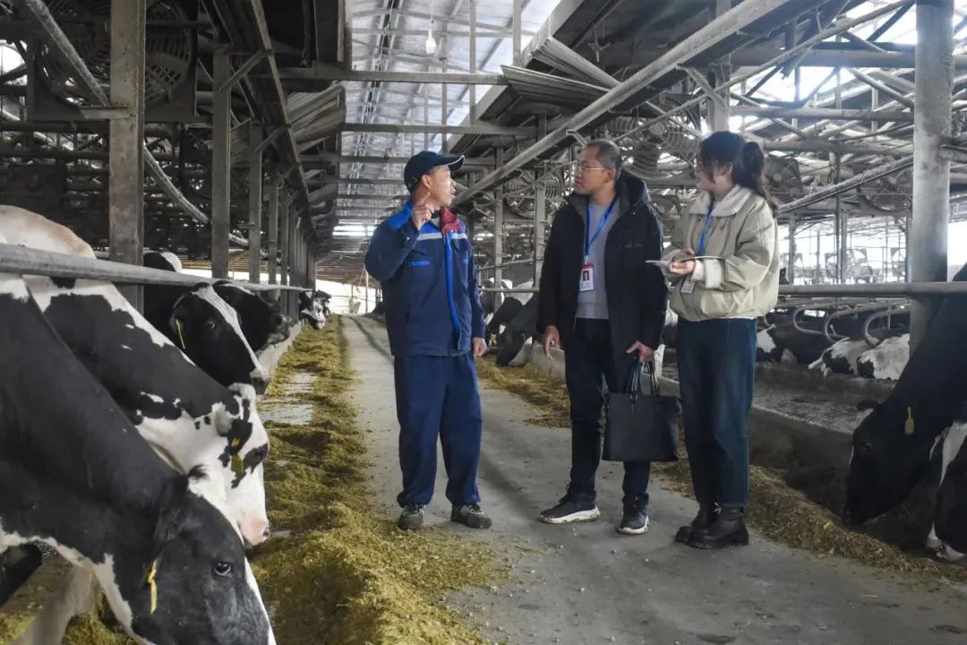 聚焦全會(huì)?學(xué)習(xí)貫徹丨南平：一以貫之推進(jìn)全面從嚴(yán)治黨 為奮力推進(jìn) 中國式現(xiàn)代化南平實(shí)踐清障護(hù)航